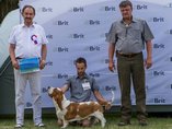 Winning the main prize of the 2018 Hound Breeders Club Show Weekend